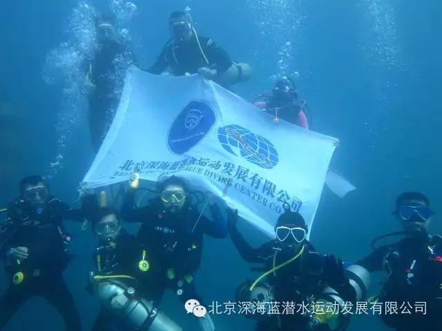 破碎的动物图形2